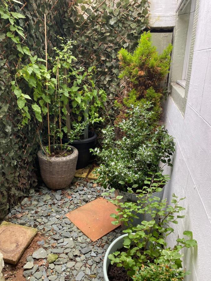 Busy Beas Cottage 沃金顿 外观 照片